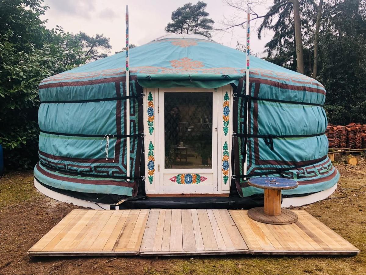Tiny House 'T Heidehoes In Usselo Енсхеде Екстер'єр фото